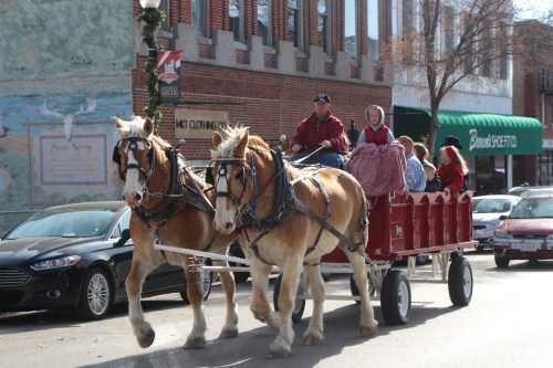 A horse-drawn wagon with passengers rides through a city street, surrounded by parked cars and buildings.