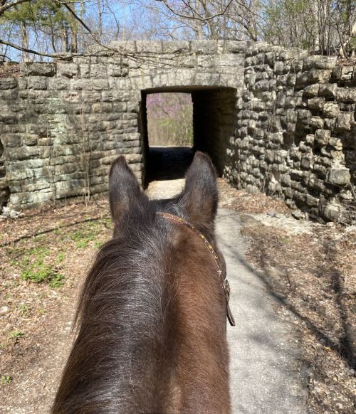 View from atop a horse, looking down a path leading to a stone archway surrounded by trees.
