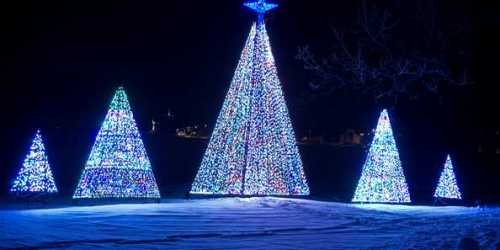 Colorful illuminated Christmas trees in various sizes, glowing against a dark night sky with a snowy ground.