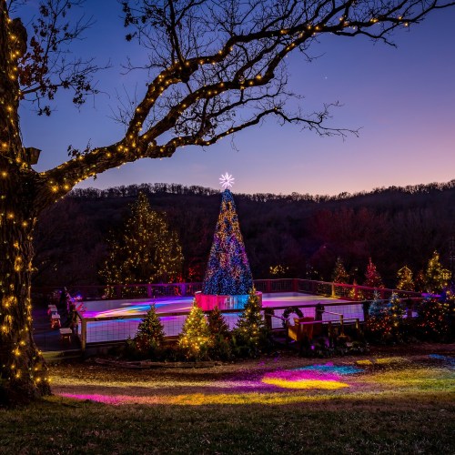 A festive scene featuring a brightly lit Christmas tree and decorated trees, with a sunset backdrop and twinkling lights.