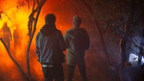 Two people stand in a foggy forest, illuminated by orange light, while shadowy figures are seen in the background.