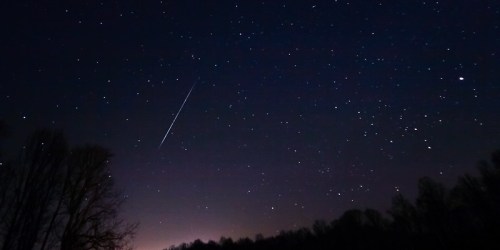 A night sky filled with stars, featuring a bright meteor streaking across the scene above silhouetted trees.
