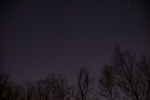 A night sky filled with stars, silhouetted by bare tree branches in the foreground.