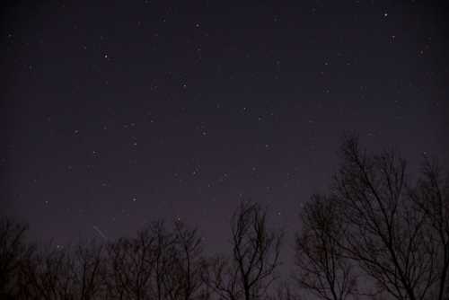 A night sky filled with stars, silhouetted by bare tree branches in the foreground.