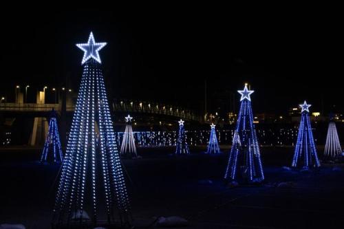 A nighttime scene featuring illuminated Christmas trees with stars, glowing in blue lights against a dark background.