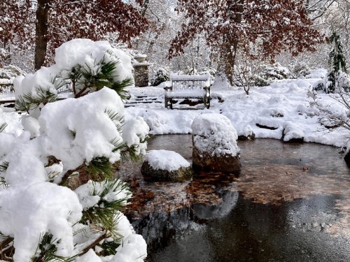 A serene winter scene with a snowy landscape, a frozen pond, and a bench surrounded by snow-covered trees.