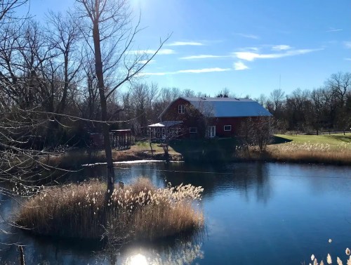 A serene landscape featuring a red house by a pond, surrounded by trees and tall grasses under a clear blue sky.