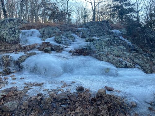 A rocky landscape covered in ice, with frozen water flowing over the stones amidst bare trees in a winter setting.
