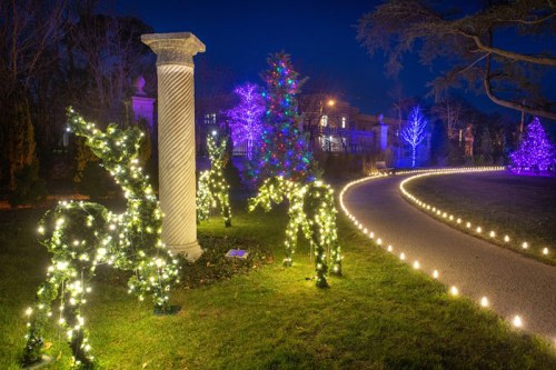 A festive garden scene at night with illuminated reindeer, a decorated tree, and glowing pathway lights.