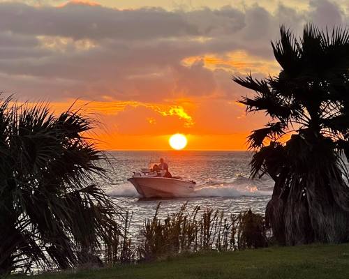 A boat speeds across the water at sunset, framed by palm trees and a vibrant orange sky.
