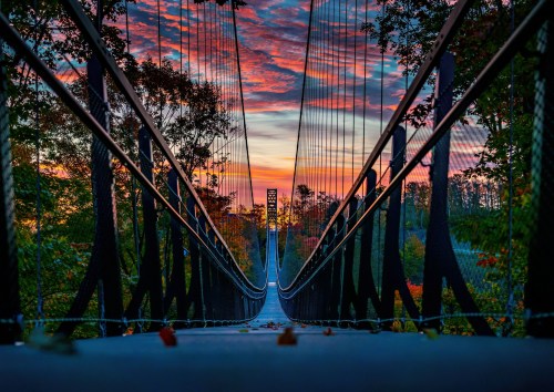 A suspension bridge stretches into a colorful sunset, framed by trees and vibrant autumn foliage.