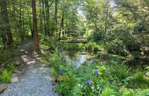 A serene forest path lined with purple flowers, leading to a calm pond surrounded by lush greenery.