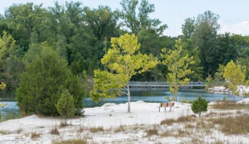 A serene landscape featuring a sandy area, a bench, and trees by a calm body of water surrounded by greenery.