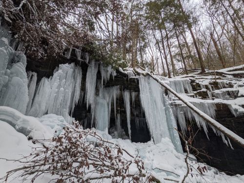 Icicles hang from a rocky cliff, surrounded by snow and trees in a winter landscape.