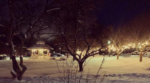 A snowy park at night featuring a lit gazebo and trees adorned with string lights.