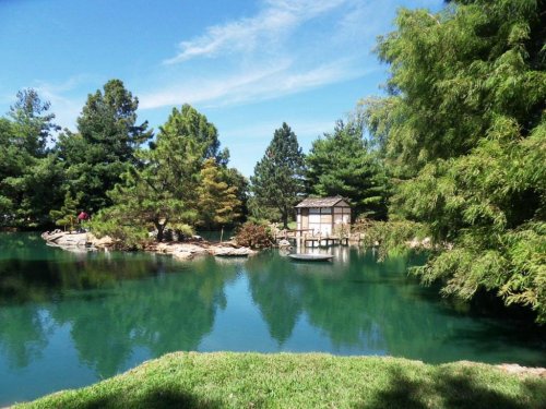 A serene pond surrounded by lush trees, featuring a small wooden gazebo and clear blue water reflecting the sky.