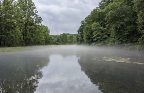 A serene lake surrounded by lush green trees, with mist rising from the water under a cloudy sky.