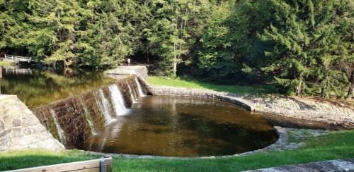 A serene scene of a small waterfall cascading into a calm pond, surrounded by lush green trees.