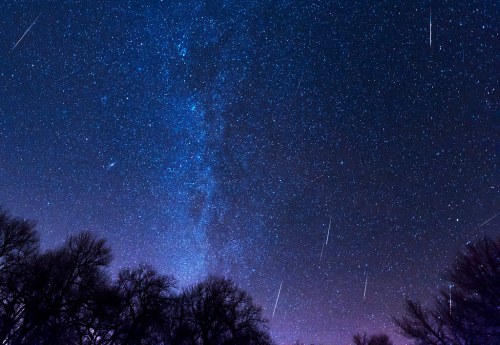 A starry night sky filled with stars and shooting meteors, silhouetted by dark tree branches below.