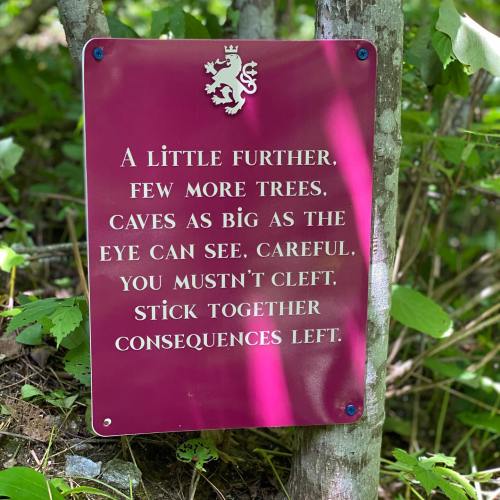 A sign in the woods with a warning about caves, urging caution and advising to stick together.