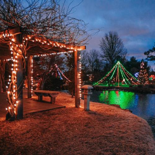 A serene park scene at dusk, featuring trees adorned with colorful lights and a reflecting pond.