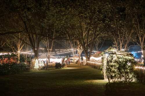 A beautifully lit outdoor area at night, featuring trees, string lights, and tents, creating a festive atmosphere.