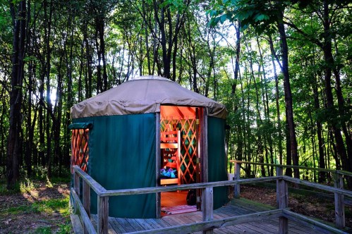 A cozy yurt with an open door, surrounded by lush green trees and a wooden deck.