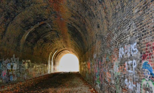 A dark brick tunnel with graffiti on the walls, leading to a bright light at the end. Leaves scattered on the ground.