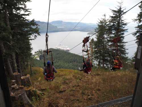 Three people ziplining over a lush landscape, with a view of a lake and a cruise ship in the distance.