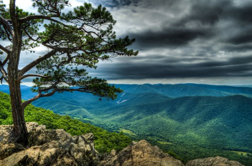 A lone tree stands on a rocky outcrop, overlooking a lush green valley and rolling mountains under a cloudy sky.