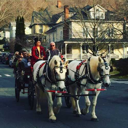 A horse-drawn carriage with passengers rides down a street lined with houses and trees.