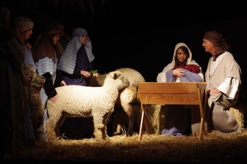 A nativity scene with Mary, Joseph, and shepherds, surrounded by sheep in a straw-filled setting.
