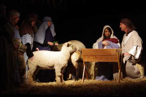 A nativity scene with Mary, Joseph, and shepherds, surrounded by sheep in a straw-filled setting.