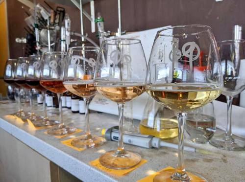A row of wine glasses filled with different types of wine, displayed on a countertop in a tasting setting.