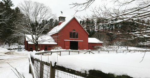 A red barn surrounded by snow-covered ground and trees, with a fence in the foreground on a winter day.