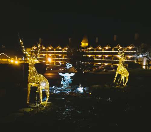 Two illuminated reindeer stand in front of a hotel at night, with festive lights adorning the building.