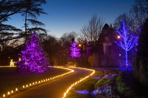 A serene garden path illuminated by purple and white lights, with decorated trees and a twilight sky.