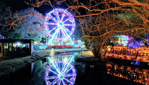 A brightly lit ferris wheel reflects in a calm waterway at night, surrounded by festive decorations and trees.