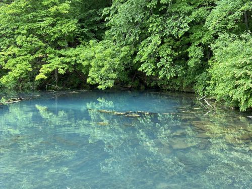 A serene blue pond surrounded by lush green trees, reflecting the vibrant foliage above.