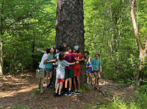 A group of children joyfully hugging a large tree in a lush green forest.