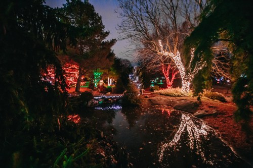 A serene garden at night, illuminated by colorful lights reflecting in a calm pond.