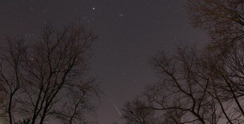 A night sky filled with stars, framed by bare tree branches, with a faint meteor streaking across the scene.