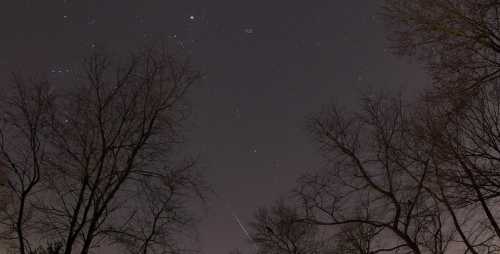 A night sky filled with stars, framed by bare tree branches, with a faint meteor streaking across the scene.