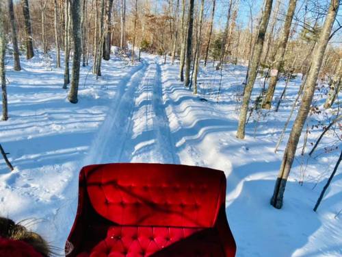 A snowy path through a forest, viewed from a red velvet sleigh. Sunlight filters through the trees.