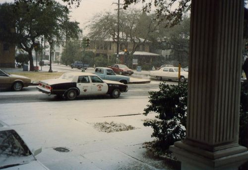 A snowy street scene with cars, including a police car, and trees in the background. Snow covers the ground.