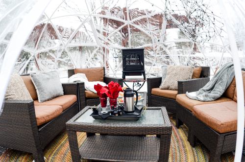 Cozy indoor seating area in a transparent dome, featuring brown chairs, a table, and decorative flowers.