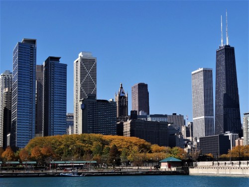Chicago skyline with tall buildings and autumn trees along the waterfront under a clear blue sky.