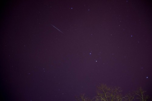 A night sky filled with stars, featuring a faint streak of light, possibly a meteor, above a silhouetted tree.