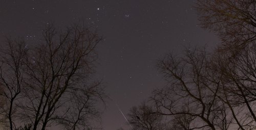 A starry night sky with scattered stars and a faint meteor streaking through, framed by bare tree branches.