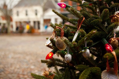A close-up of a decorated Christmas tree with colorful lights and ornaments, set in a festive outdoor setting.